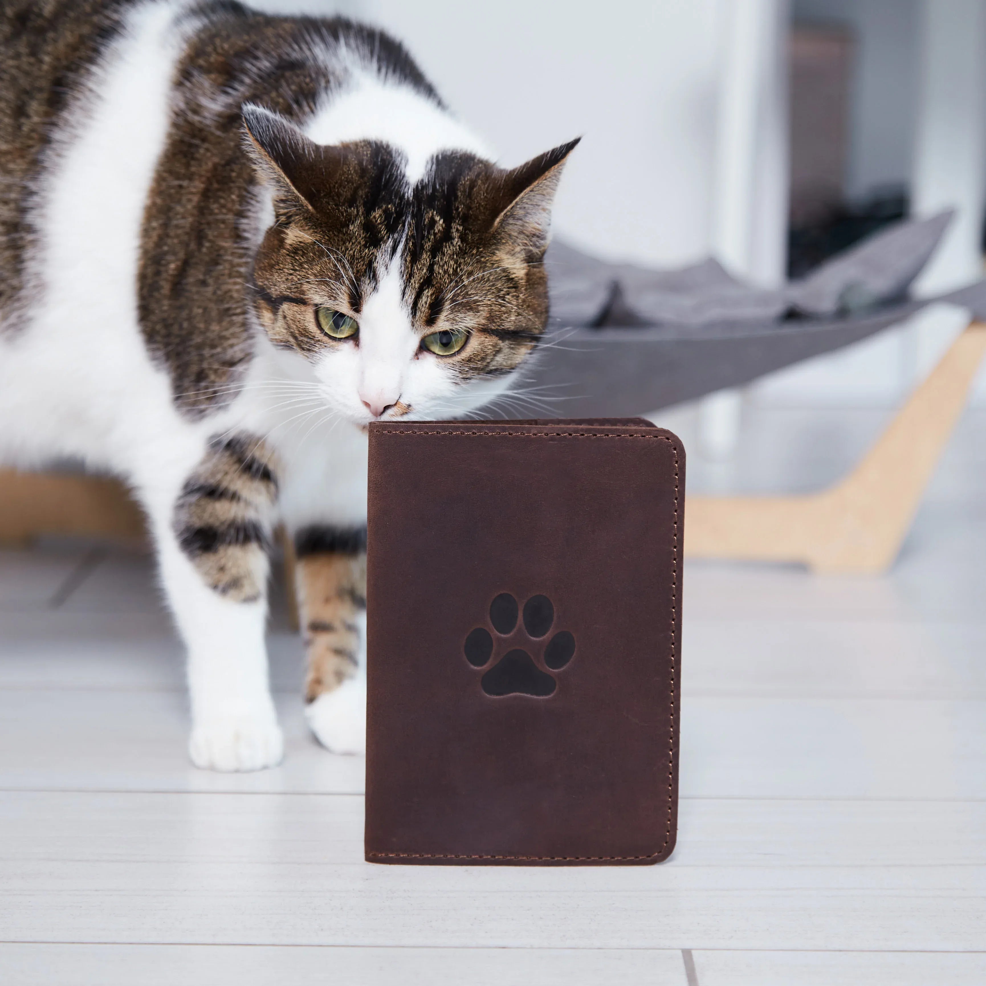 Обкладинка для ветпаспорта Paw у руці, натуральна шкіра коричневого кольору, стильний аксесуар для документів улюбленця
