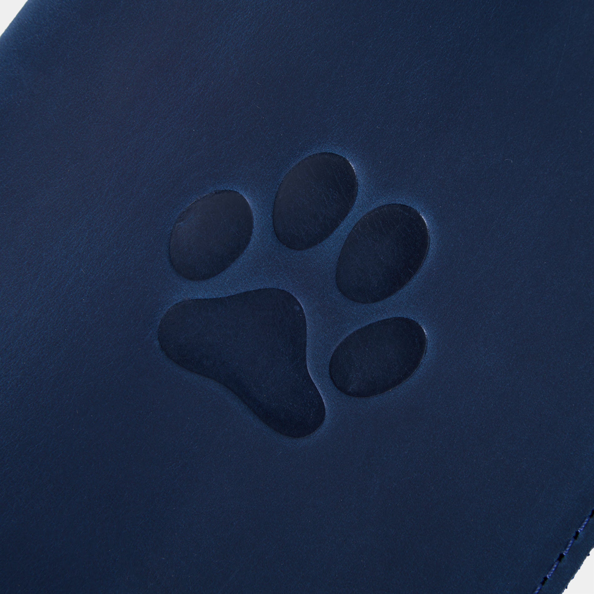 Обкладинка для ветеринарного паспорта Paw, синій (вінтажний)