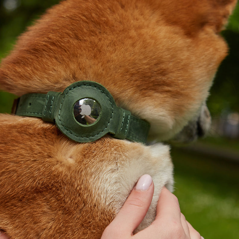 Кожаный ошейник «Тини Эйр Колар» Tiny Air Collar для щенков, собак малых и средних пород