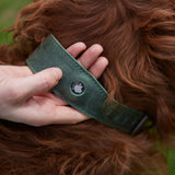 Ошейник для средних собак «Эйр Колар» Air Collar с держателем для AirTag
