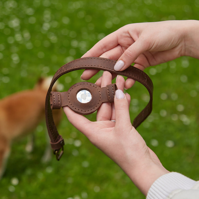 Кожаный ошейник «Тини Эйр Колар» Tiny Air Collar для щенков, собак малых и средних пород