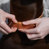 Нашийник для середніх собак «Ейр Колар» Air Collar з тримачем для AirTag