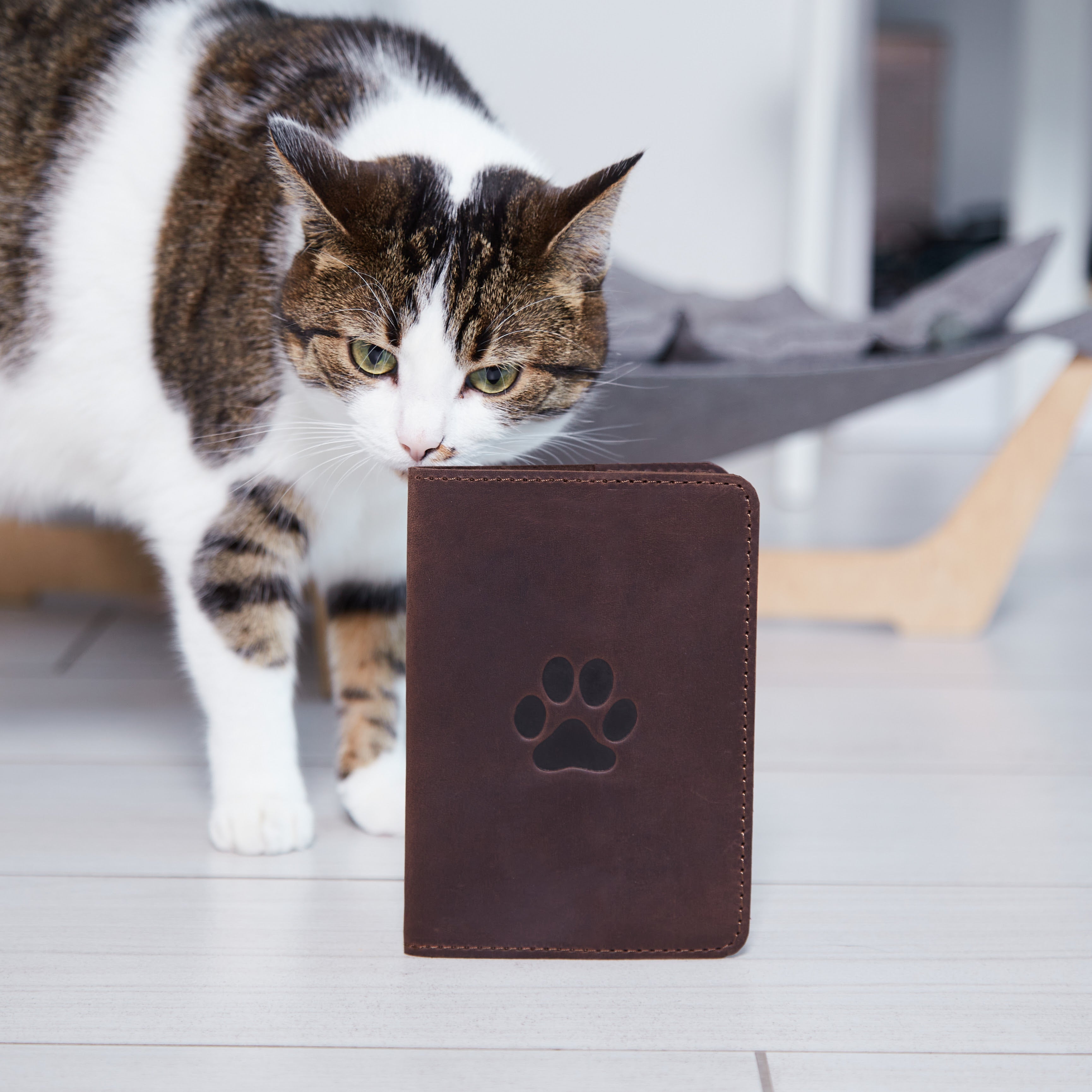 Обкладинка для ветеринарного паспорта Paw, коричневий (вінтажний)