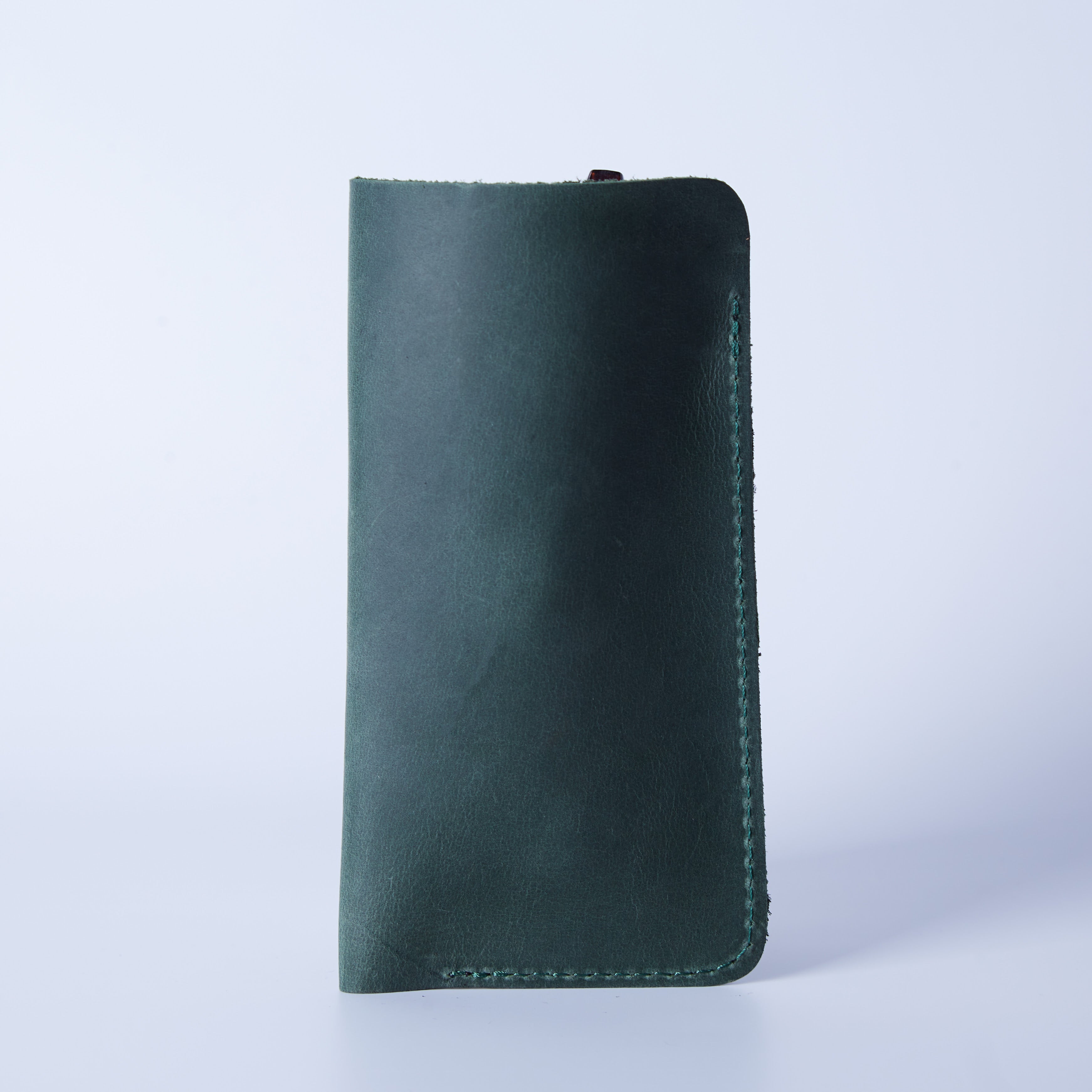 Чохол для окулярів Catch, зелений (вінтажний)